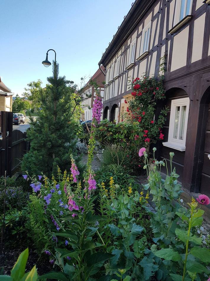 Ferienwohnung für 10 Personen, mit Garten in Großschönau - 4