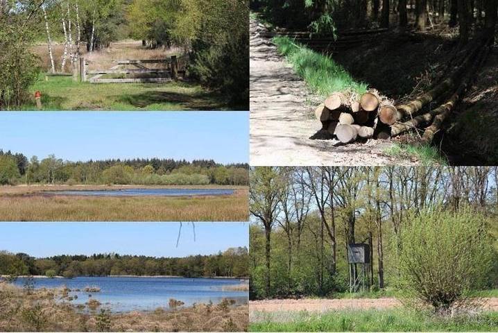 Gîte pour 2 personnes, avec terrasse ainsi que jardin et vue dans Poppel - 3
