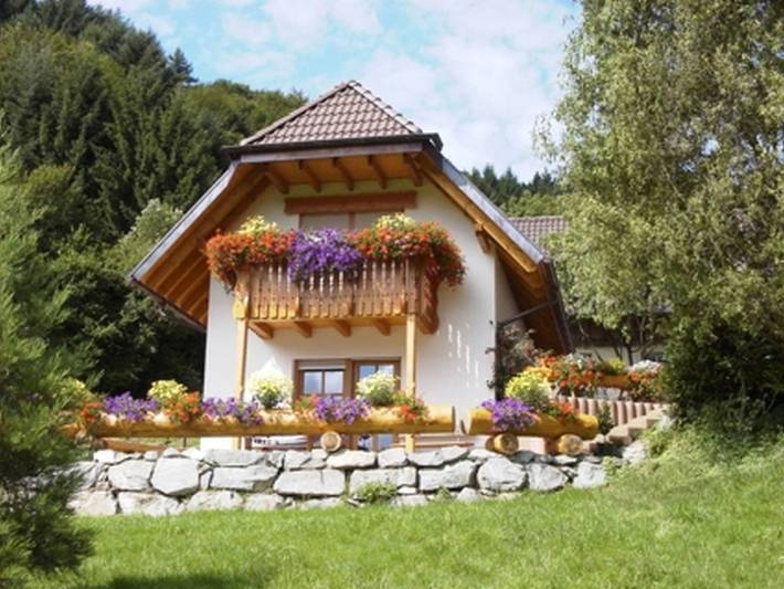Geheel appartement, Appartement 'Zum Austrag' met uitzicht op de bergen, gedeelde tuin en Wi-Fi in Seelbach, Central Black Forest