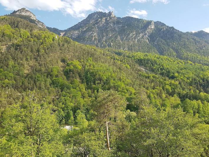 Ganze Ferienwohnung, Jutta Deluxe Appartement - Deluxe Appartement 43 qm für 3 Personen mit Balkon in Bad Reichenhall, Berchtesgadener Alpen