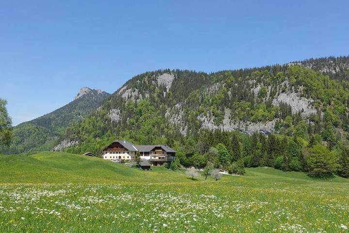 Ferienwohnung für 2 Personen, mit Balkon und Terrasse sowie Garten und Ausblick in Fuschl am See