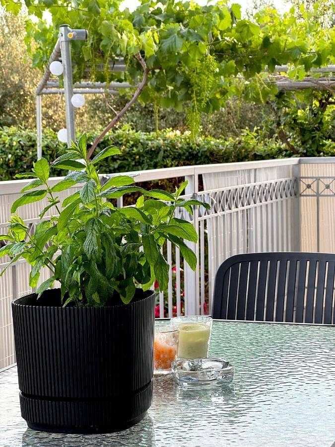 Appartement de vacances pour 4 personnes, avec Balcon et Terrasse ainsi que Jardin et Vue