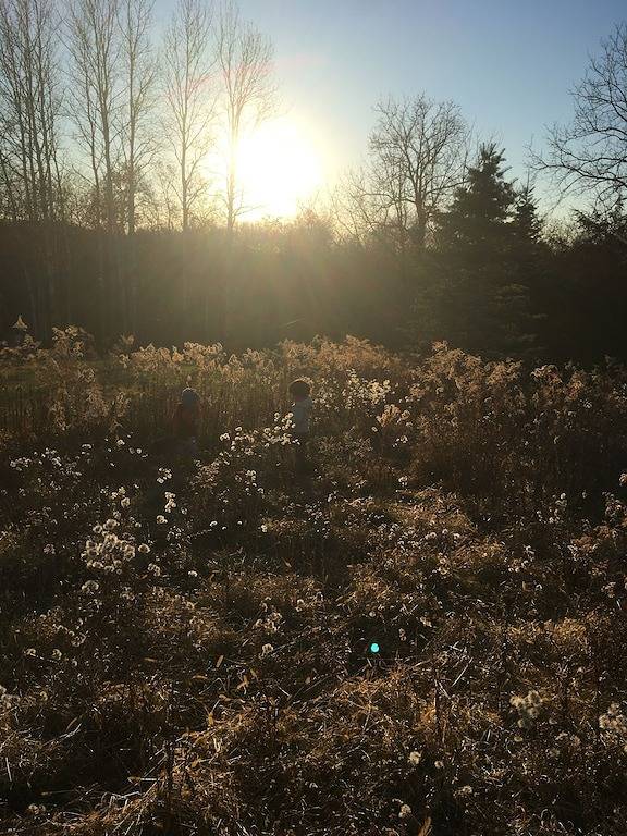 Private Home~Relax at Your Getaway Among the Trees! in Jo Daviess County