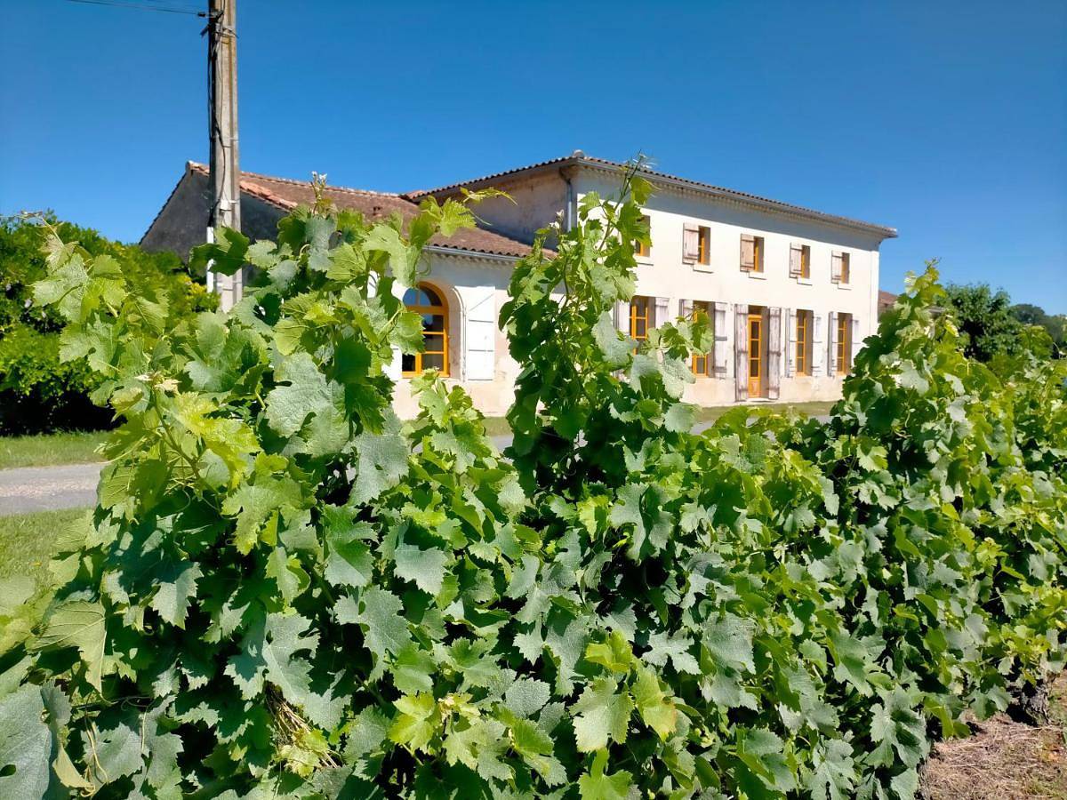 Five-Bedroom House in Saint-Germain-d'Esteuil, Région de Lesparre-Médoc
