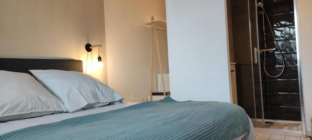Gîte pour 12 personnes, avec balcon et vue dans Office De Tourisme De Sare - 2