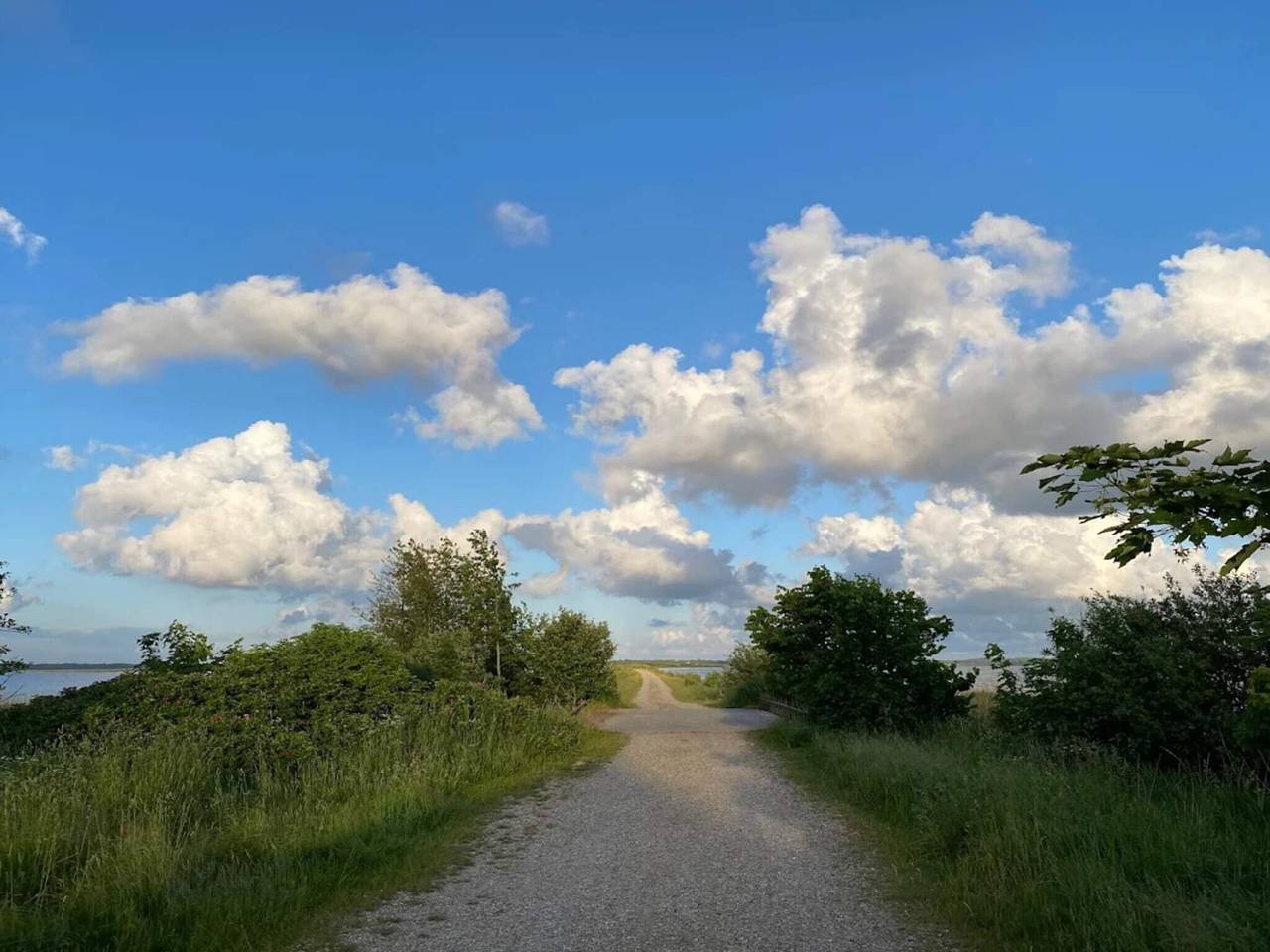 Verzauberter Ruckzugsort in Henne Stadt in Henne, Filsø See