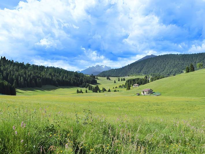 Ganze Wohnung, Apartment With Garden, Del Corlo Lake, Belluno in Arsiè, Belluno Provinz