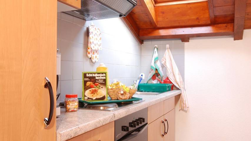 Ferienwohnung für 4 Personen, mit Garten, mit Haustier in Gambarogno - 4