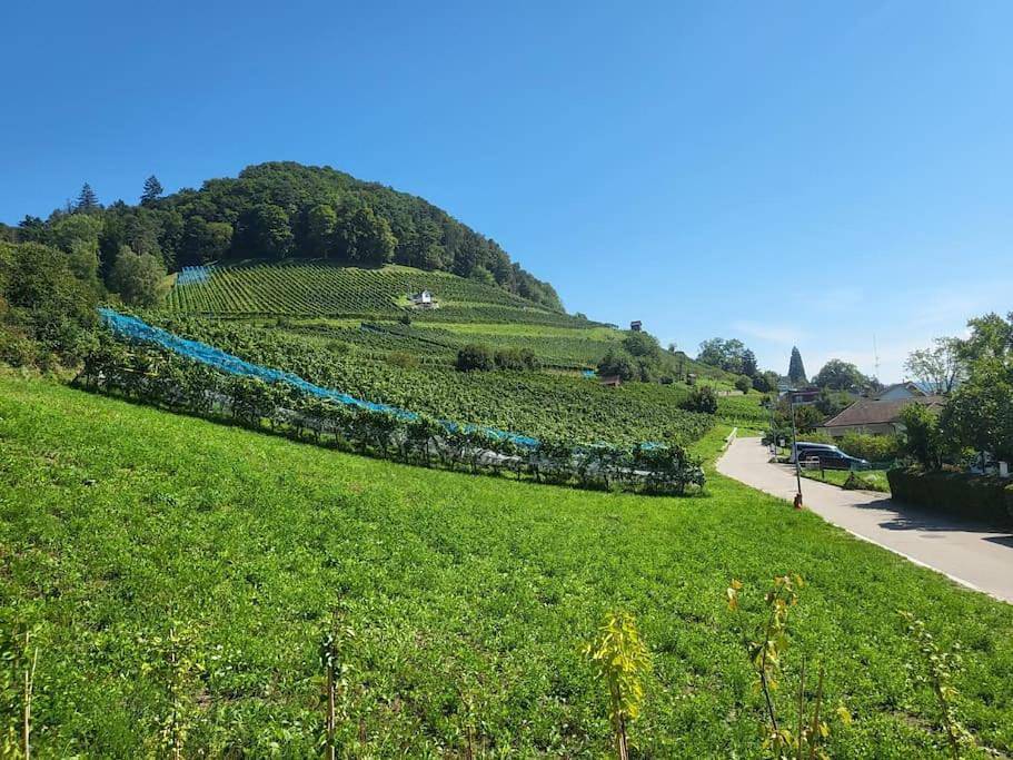 Ganze Wohnung, One-Bedroom Apartment in Stein am Rhein 2 Stadt, Stein am Rhein