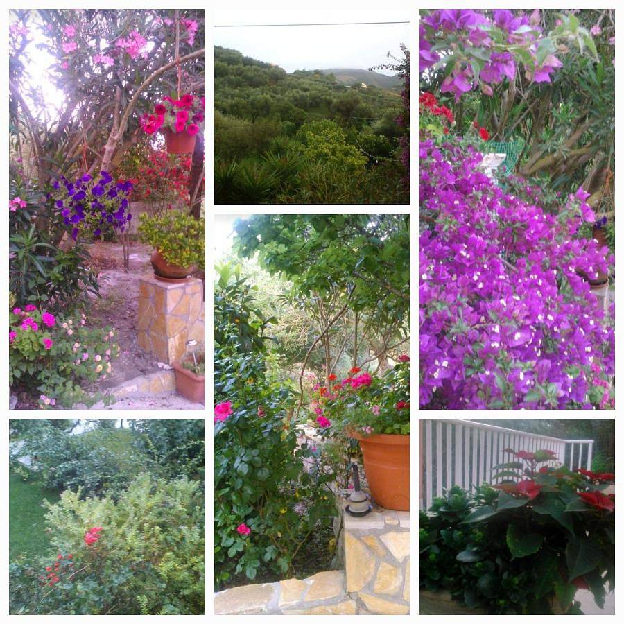 Two-Bedroom House in Αργάσι, Ζάκυνθο