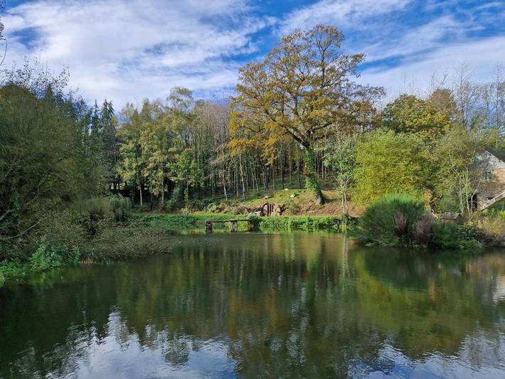 Gîte pour 6 personnes, avec terrasse et vue ainsi que vue sur le lac et piscine dans Landisacq
