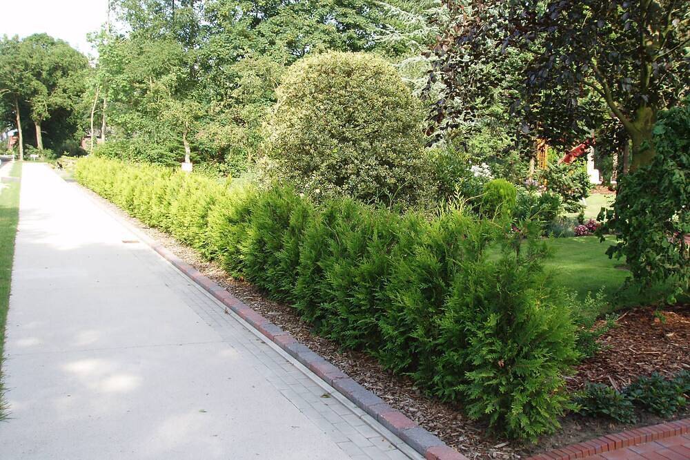 Vacation apartment in Uplengen — Bild 5