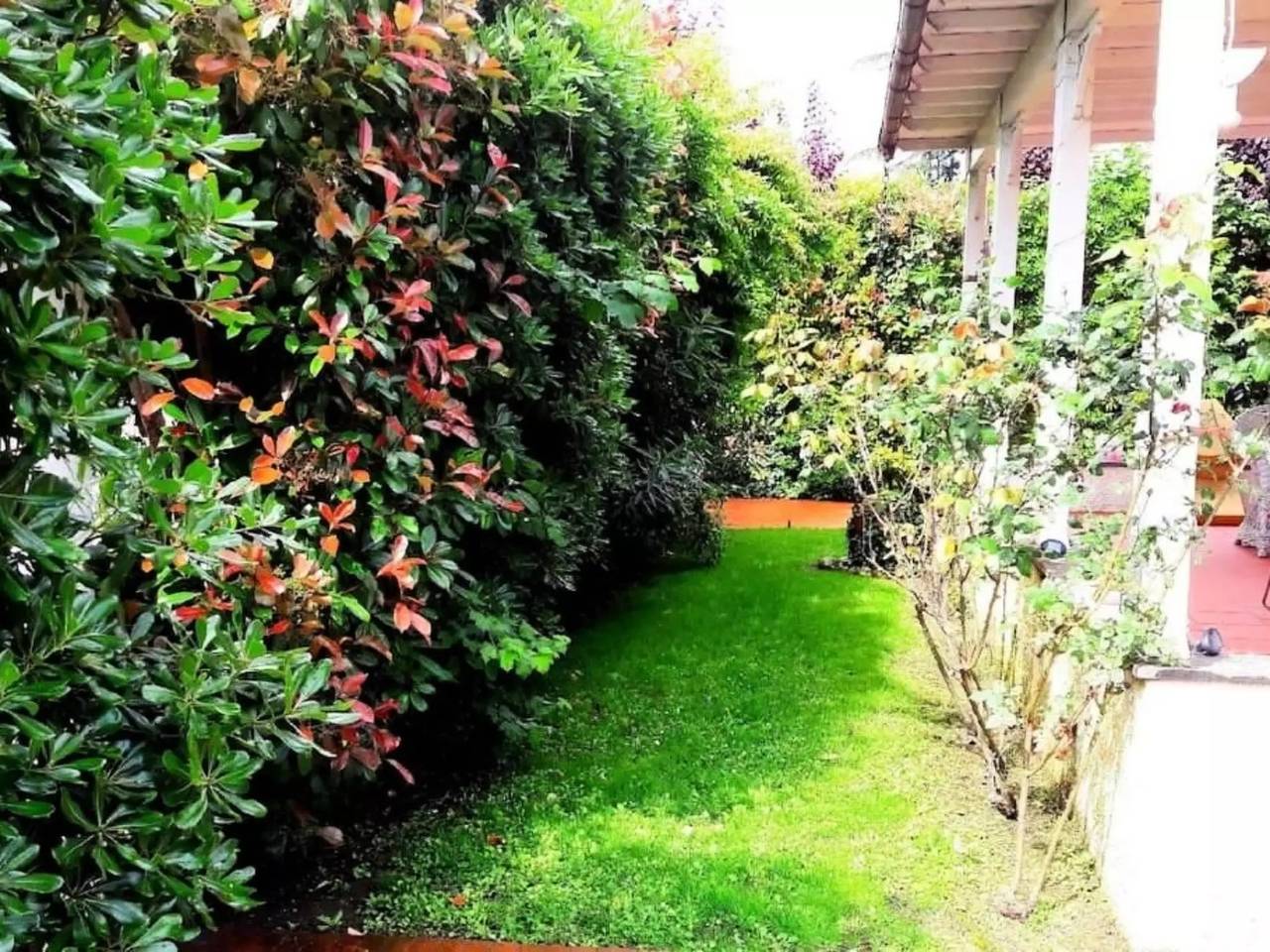 Haus 4 Personen in Forte dei Marmi, Italienische Riviera
