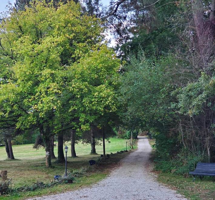 Gîte pour 2 personnes, avec vue ainsi que piscine et jardin, animaux acceptés à Rouffignac-Saint-Cernin-de-Reilhac - 3