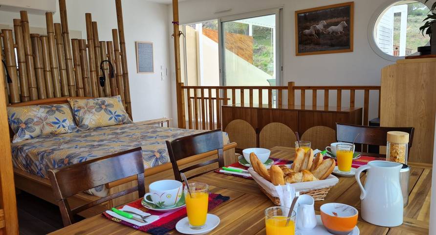 Chambre d’hôte pour 4 personnes, avec piscine et jardin dans l' Aude - 2