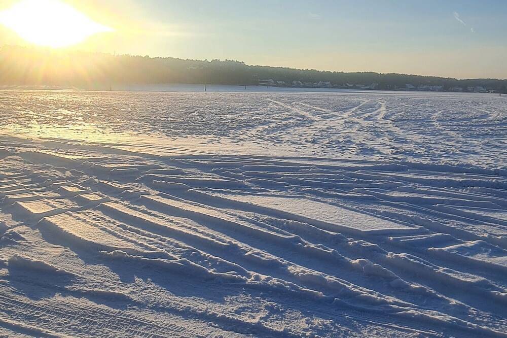 Chalet im Wald-\nhaus Mit Leben Und Liebe \nfür Mensch Und Hund in Busendorf, Beelitz