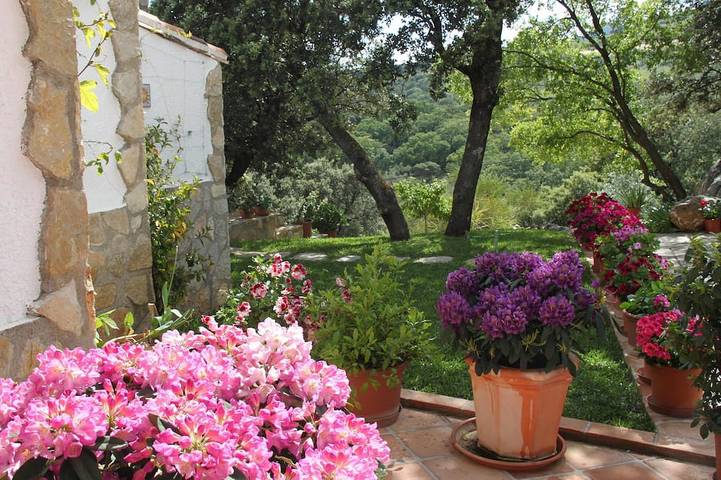 Kleines Paradies mit großem bewaldetem Garten für Naturliebhaber in Colmenar, Málaga Provinz