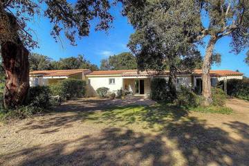 Location De Vacances pour 4 Personnes dans Porto-Vecchio, Arrondissement de Sartène, Photo 4