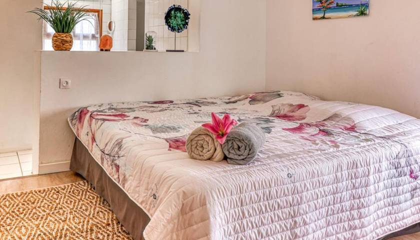 Location de vacances pour 14 personnes, avec jardin ainsi que jacuzzi et piscine dans Plage de l'Hermitage - 3