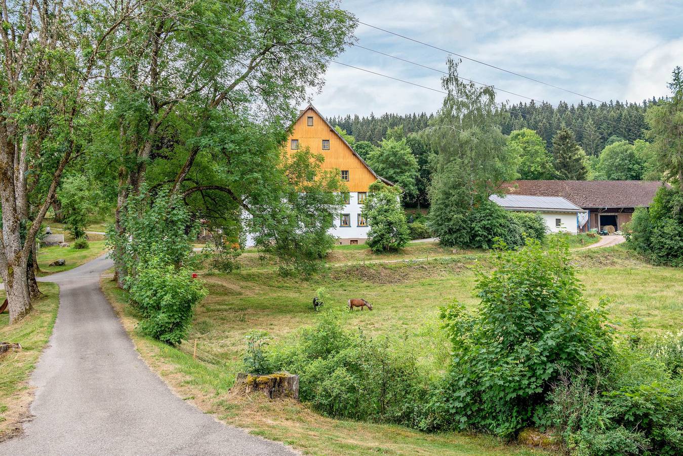 Geheel appartement, Vakantieappartement voor 2 personen met tuin in St. Georgen im Schwarzwald, Central Black Forest