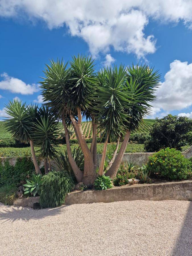 Three-Bedroom Villa in Torres Vedras, Distrito de Lisboa