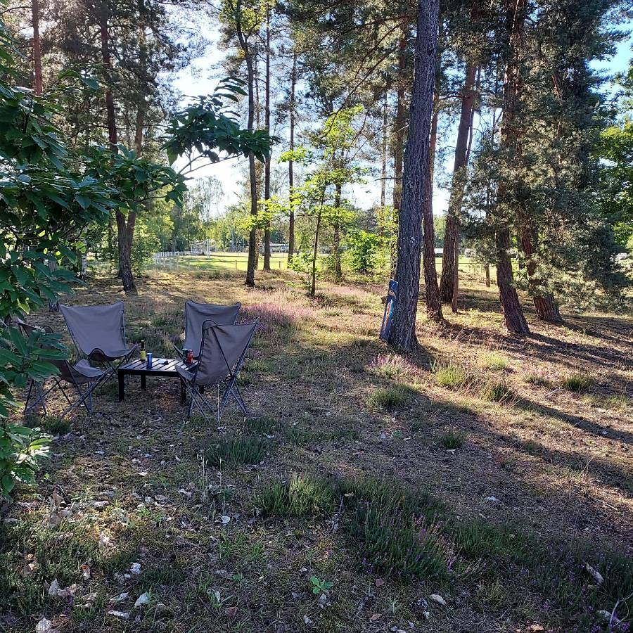 Camping Onlycamp Les Pins in Nançay, Sologne