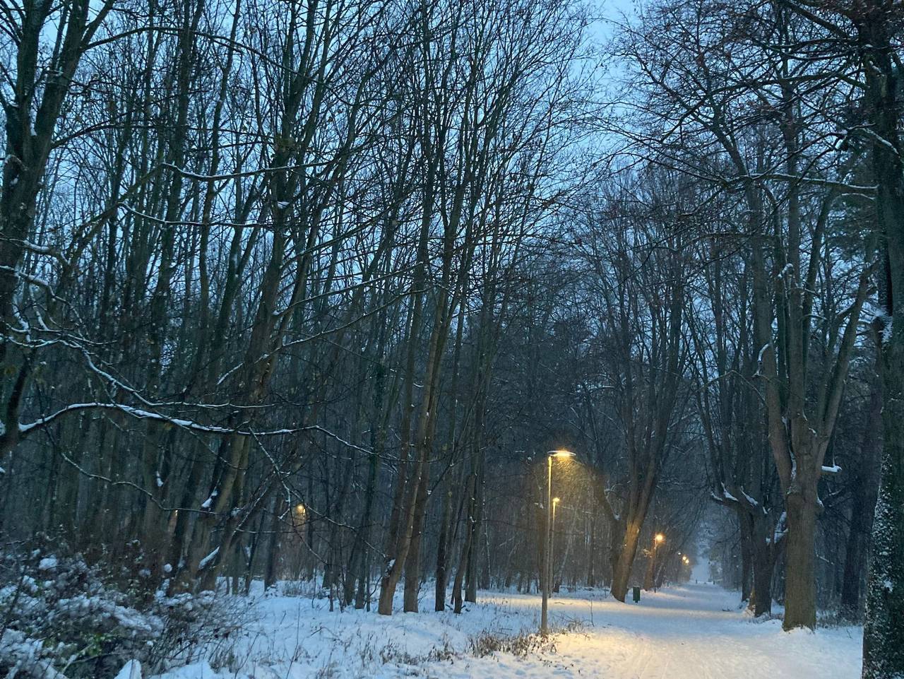 Ferienwohnung in Kühlungsborn ab 88€ pro Nacht