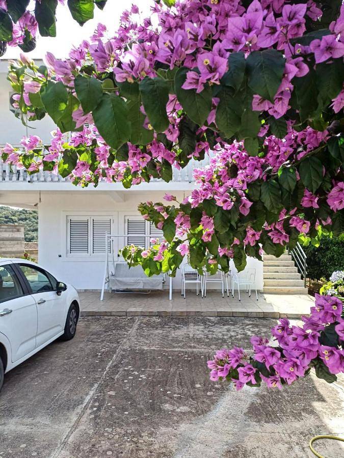 Appartement de vacances pour 4 personnes, avec terrasse ainsi que jardin et vue, animaux acceptés