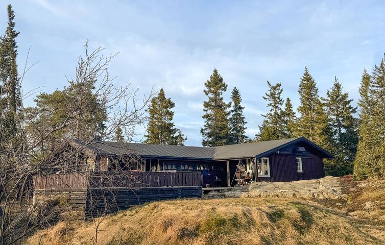 Ferienhaus für 8 Personen mit Sauna in Nissedal