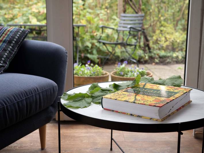 Ferienpark für 4 Personen, mit Terrasse und Garten in Holländische Küste - 4