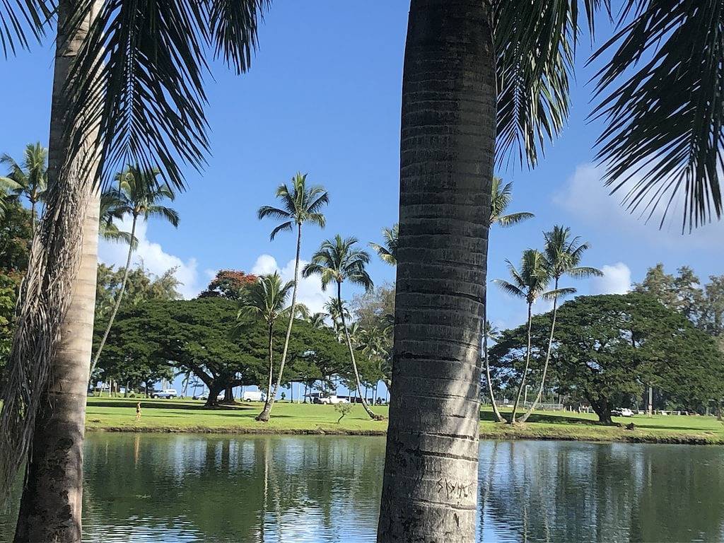 Ganze Wohnung, Breathtaking Views - 2 Bd Condo w/ Pool, A/C, Wifi, Parking in Hilo, North Hilo