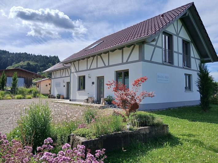 Ferienhaus für 6 Personen, mit Garten und Sauna in Oberkirch - 4