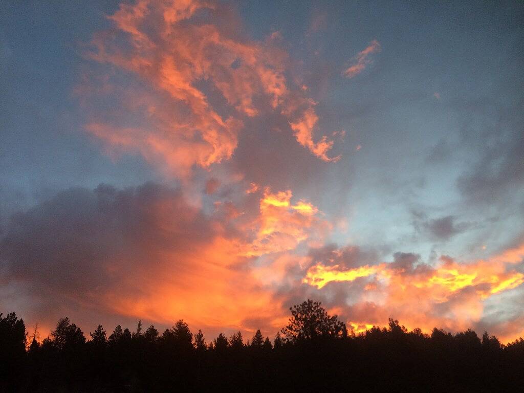 Hochragende Kiefern - Berg Modern Nederland Retreat in Gilpin County