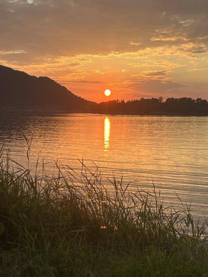 Ferienwohnung für 6 Personen, mit Ausblick und Garten, mit Haustier in Selje - 2