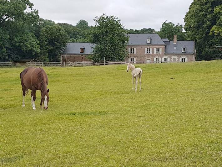 Chambre d’hôte pour 4 personnes, avec jardin et vue, adapté aux familles à Saint-Riquier