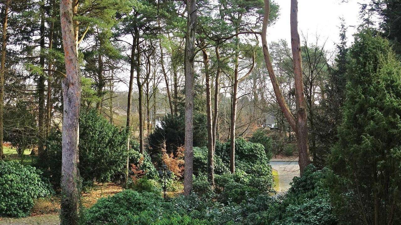 Ganze Ferienwohnung, Ferienwohnung für 4 Personen (102 m²) in Bispingen in Bispingen, Landkreis Heidekreis