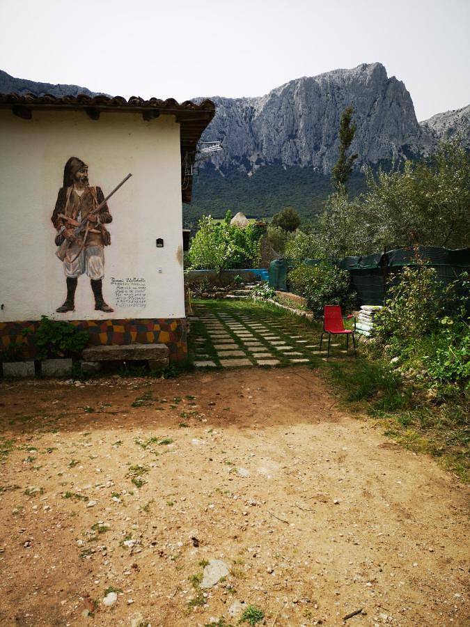 Agriturismo per 4 persone, con Giardino e Piscina nonché Panorama in Barbagia