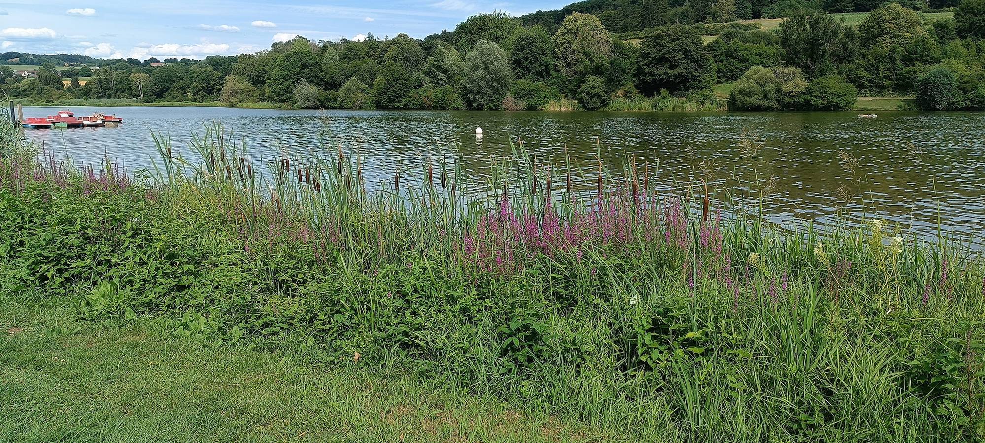 Fränkische Seenliebe - Appartement mit Balkon in Gunzenhausen, Fränkisches Seenland