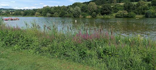 Ferienhaus für 4 Personen in Altmühlsee, Romantische Straße, Bild 4
