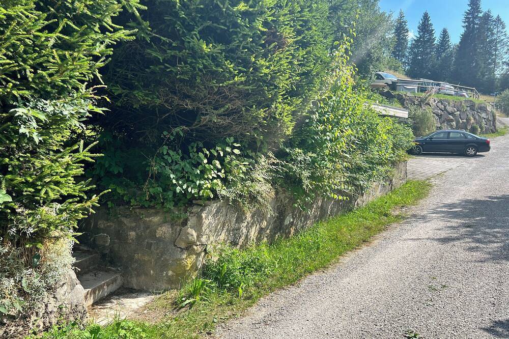 Hildegard switzerland  in Schwarzsee, Plaffeien