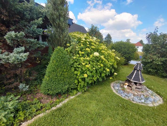 Ferienwohnung für 4 Personen, mit Balkon in Horn-Bad Meinberg - 3