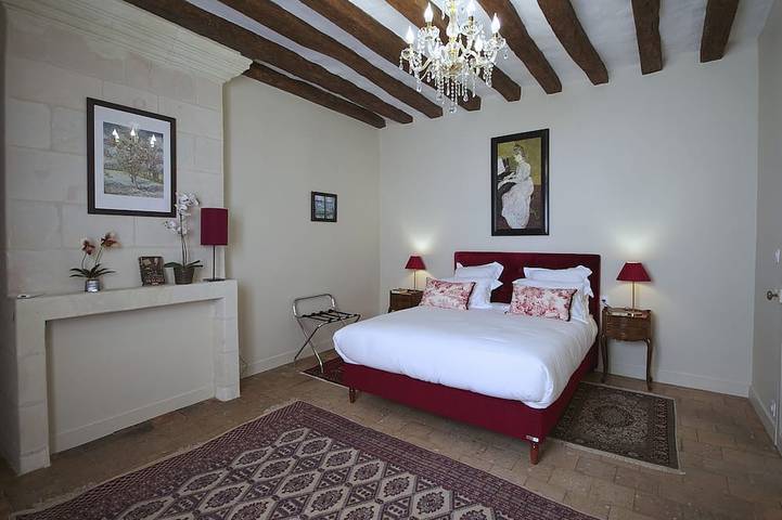 Gîte pour 14 personnes, avec terrasse et jardin à Azay-sur-Cher - 4