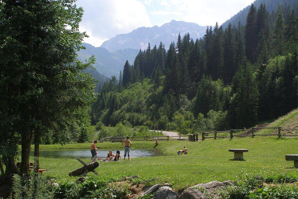 Ferienwohnung 2 - Nord in Gailtaler Alpen, Obertilliach