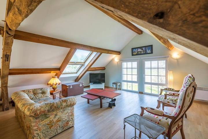 Location de vacances pour 6 personnes, avec bassin pour enfant ainsi que jacuzzi et terrasse à Loches - 3