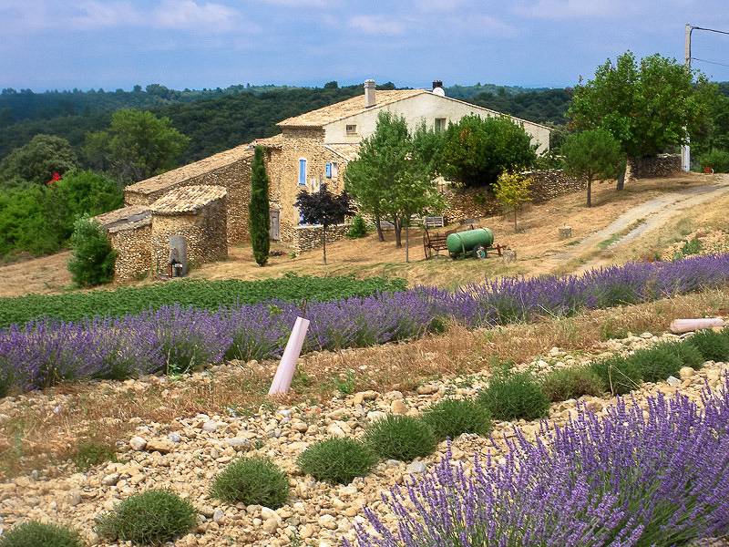 Gîte für 3 Personen mit Garten in Valensole, Regionaler Naturpark Verdon
