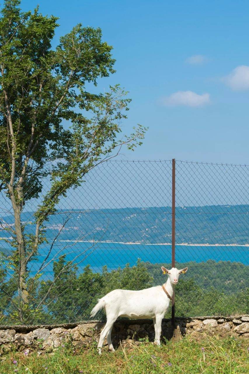 Double Room with Lake View in Aiguines, Parc naturel régional du Verdon