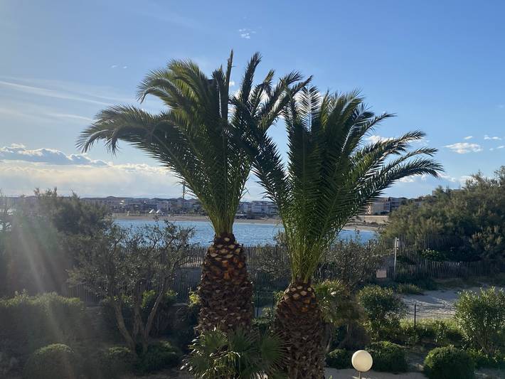 Gîte pour 5 personnes, avec jardin ainsi que piscine et terrasse dans Plage Lazaret