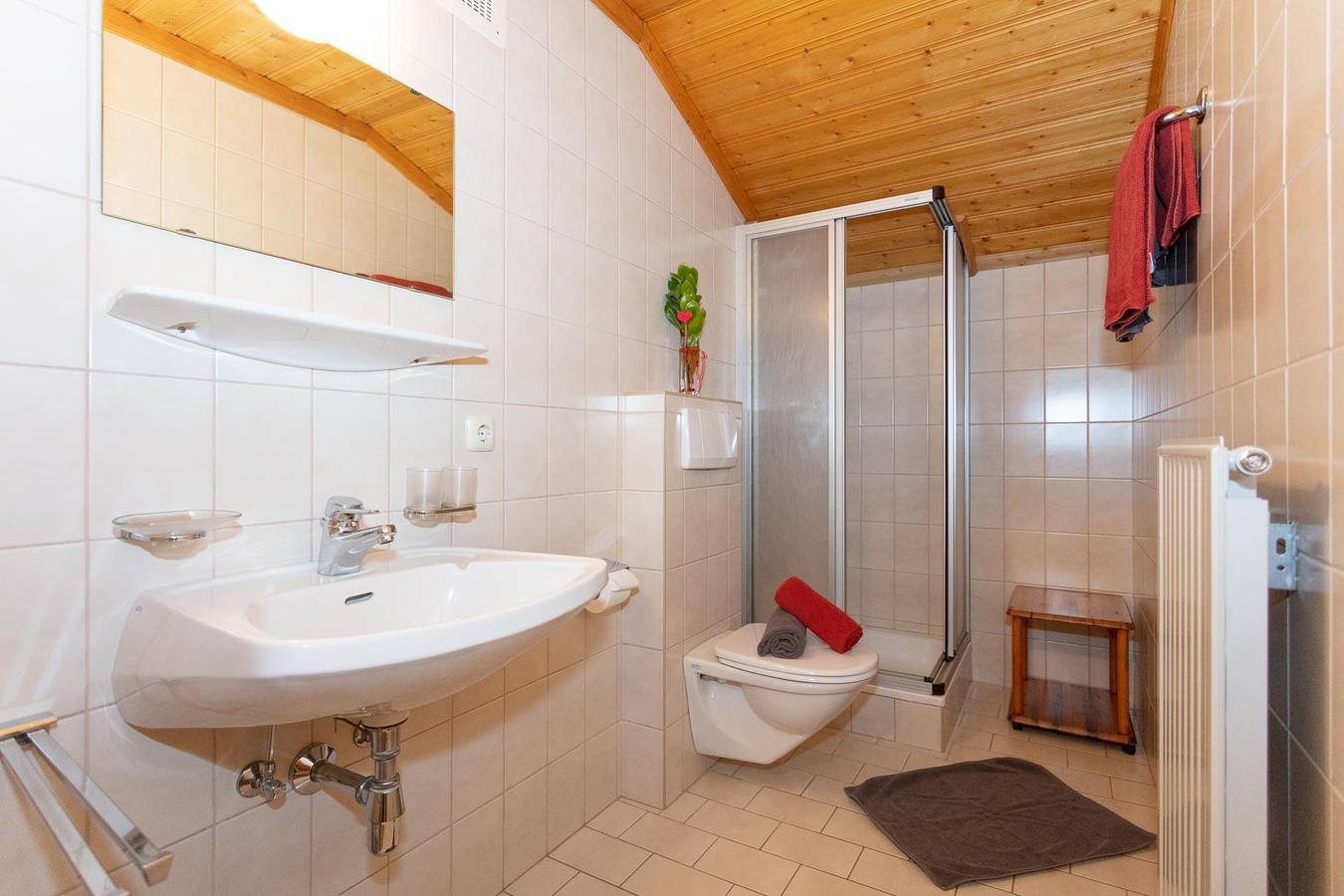 Ganze Ferienwohnung, Appartement "3" (1 Schlafzimmer) in Maria Alm am Steinernen Meer, Maria Alm