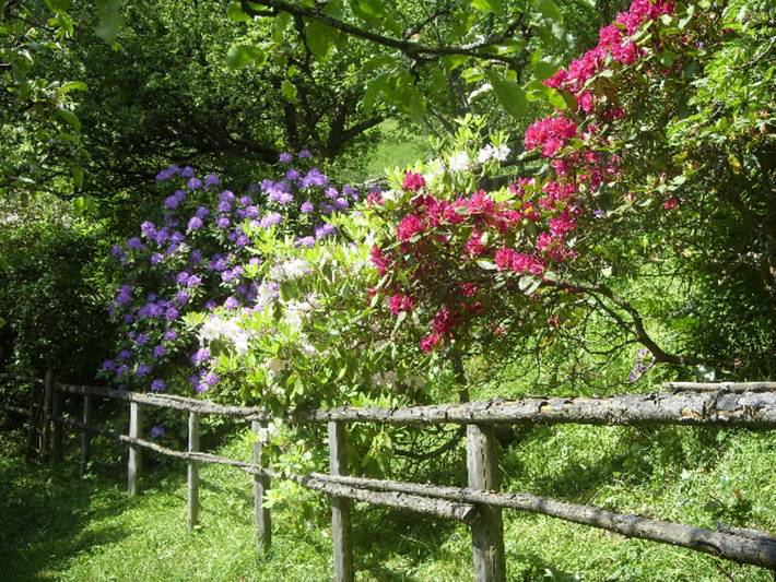 Ferienhaus für 8 Personen, mit Balkon und Garten in Niederösterreich - 3