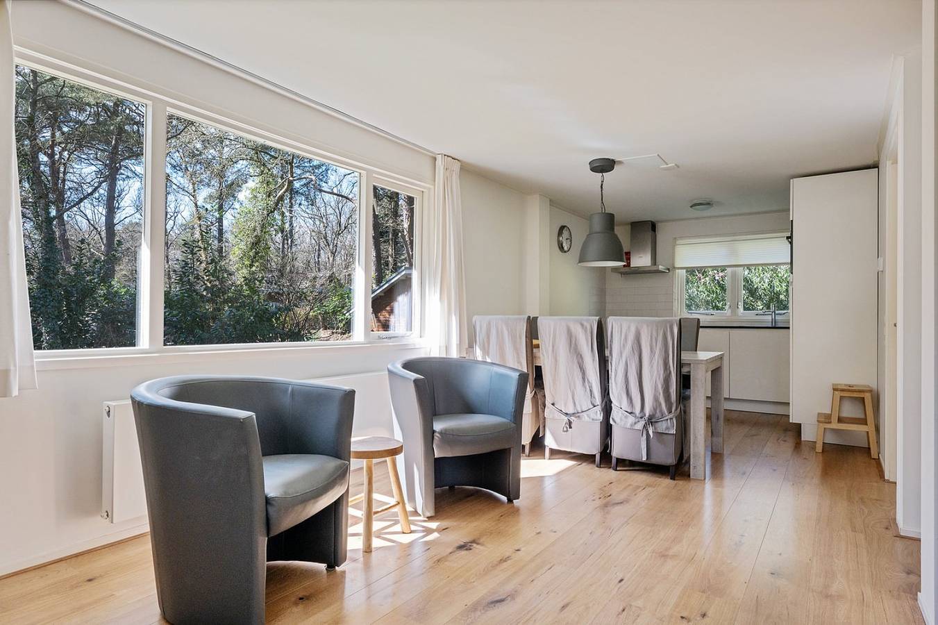 Freistehendes 6-Personen-Ferienhaus mit großem Garten im Wald bei Norg. in Drenthe